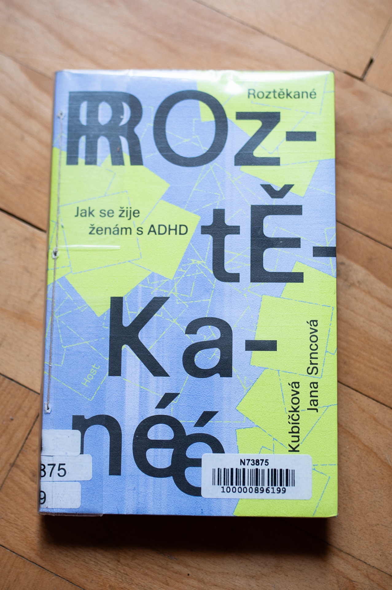 Roztěkané - Klára Kubíčková, Jana Srncová